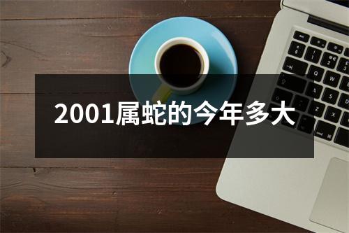 2001属蛇的今年多大