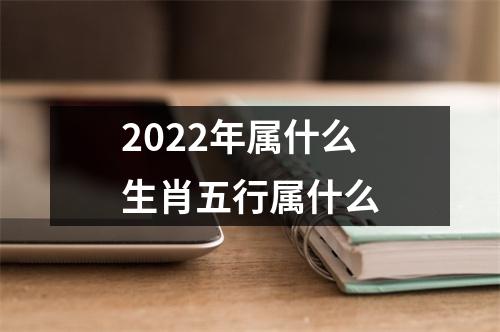 2022年属什么生肖五行属什么