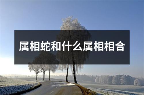 属相蛇和什么属相相合