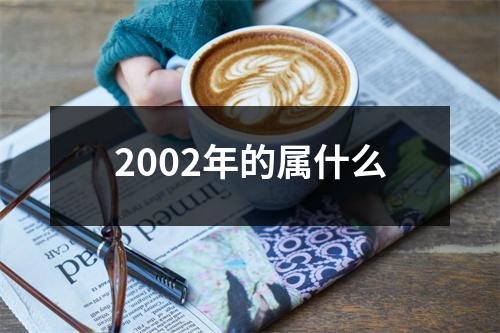 2002年的属什么