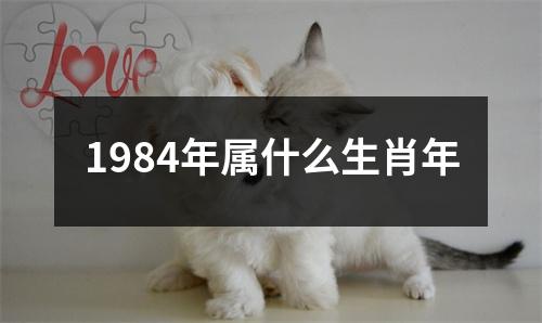 1984年属什么生肖年