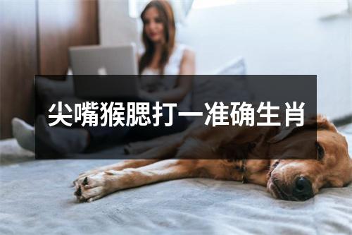 尖嘴猴腮打一准确生肖