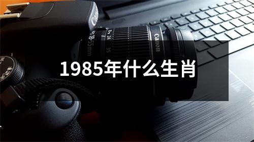 1985年什么生肖