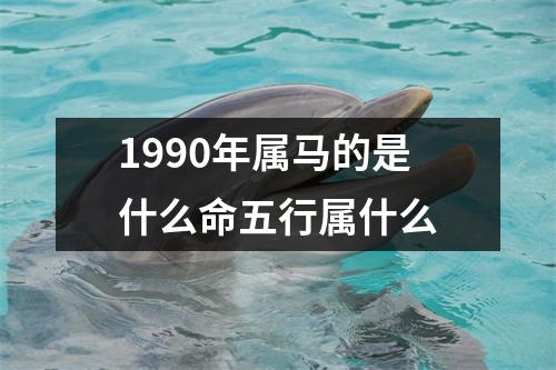 1990年属马的是什么命五行属什么