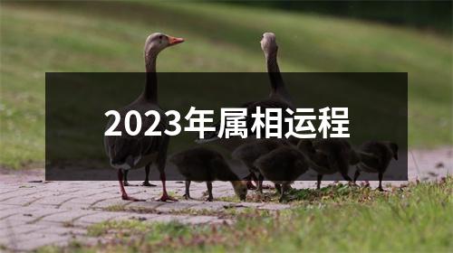 2023年属相运程