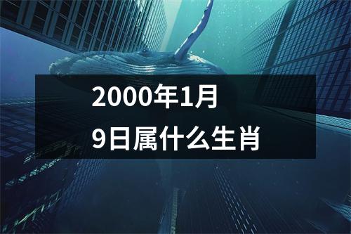 2000年1月9日属什么生肖