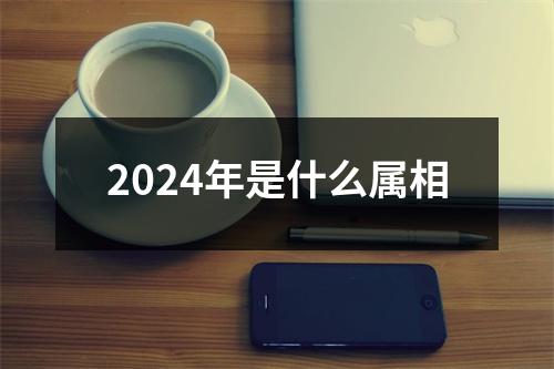 2024年是什么属相