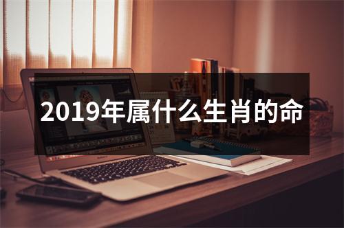 2019年属什么生肖的命