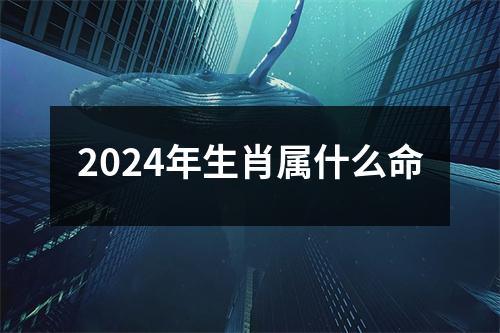 2024年生肖属什么命