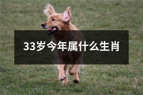 33岁今年属什么生肖