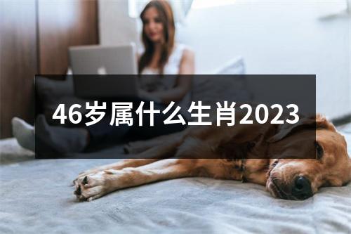 46岁属什么生肖2023