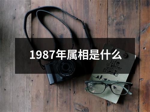 1987年属相是什么