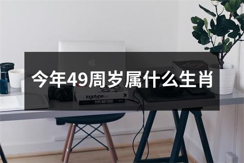 今年49周岁属什么生肖