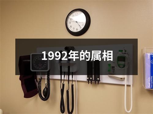 1992年的属相