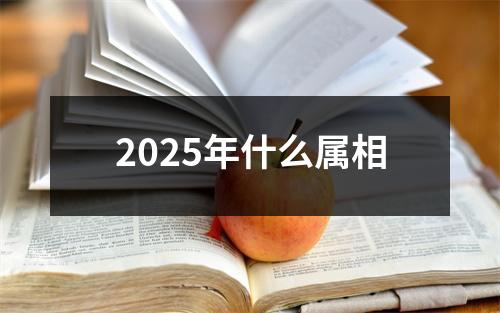 2025年什么属相