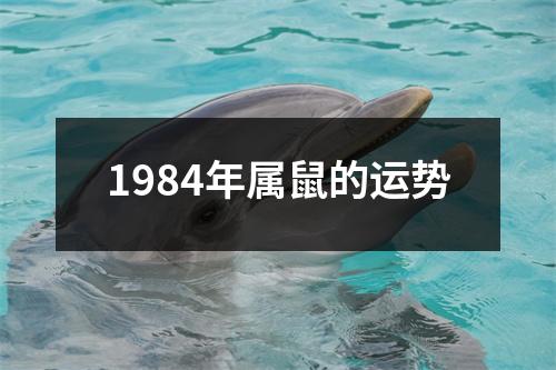 1984年属鼠的运势