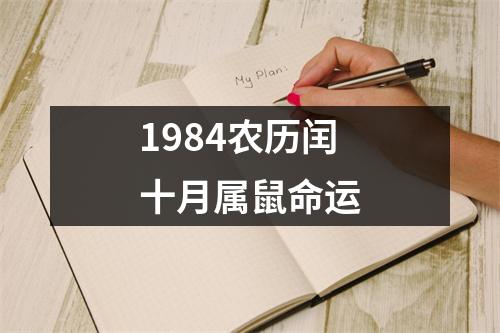 1984农历闰十月属鼠命运