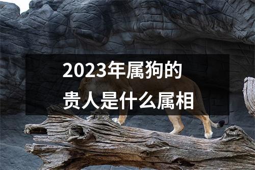 2023年属狗的贵人是什么属相