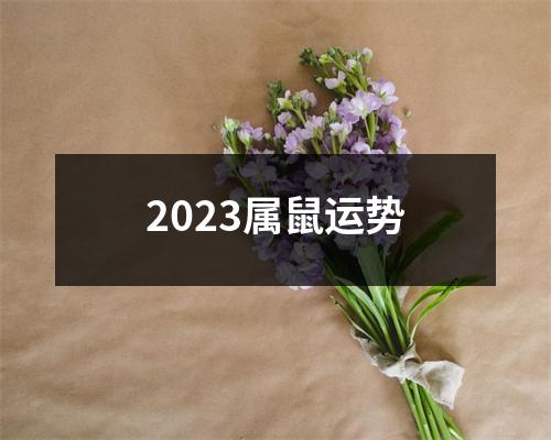 2023属鼠运势