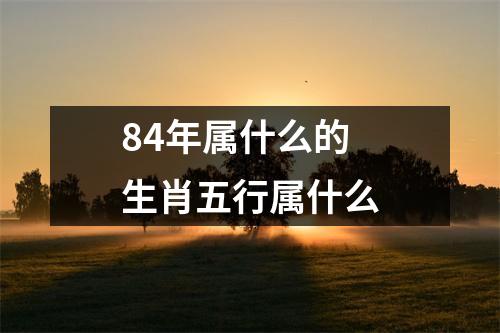 84年属什么的生肖五行属什么