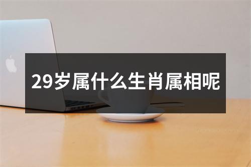 29岁属什么生肖属相呢