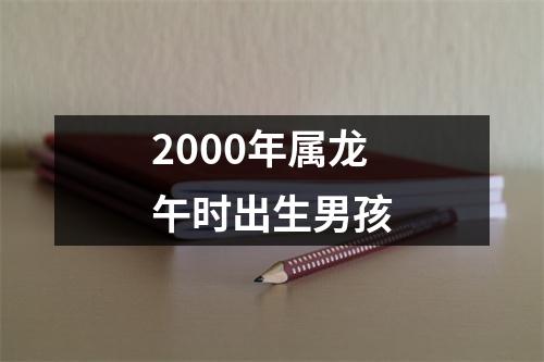 2000年属龙午时出生男孩