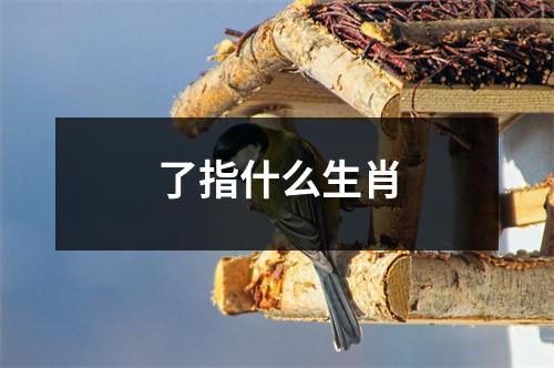 了指什么生肖