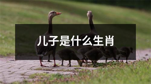 儿子是什么生肖