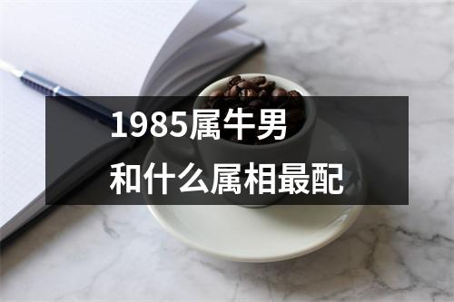 1985属牛男和什么属相最配