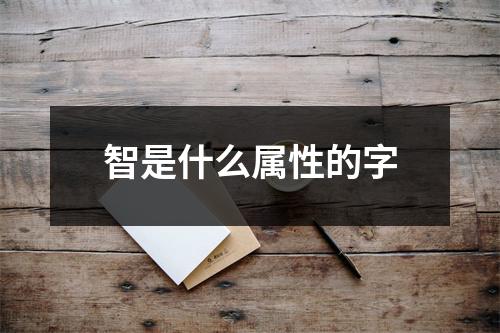 智是什么属性的字