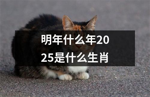 明年什么年2025是什么生肖