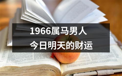 1966属马男人今日明天的财运