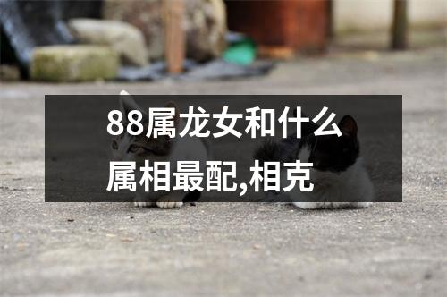 88属龙女和什么属相最配,相克