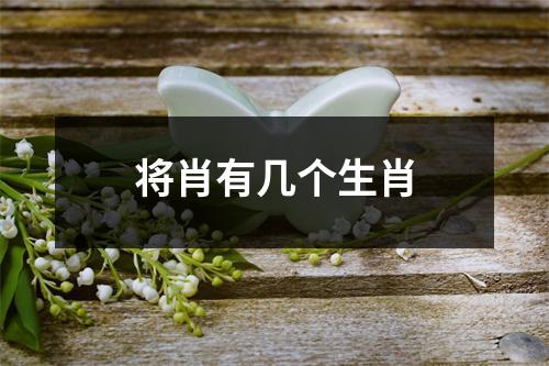 将肖有几个生肖