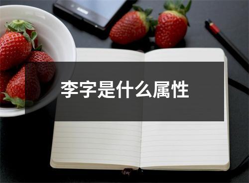 李字是什么属性