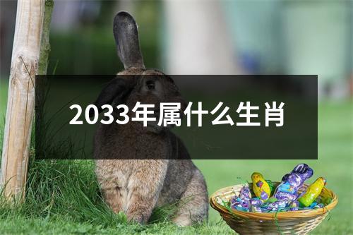 2033年属什么生肖