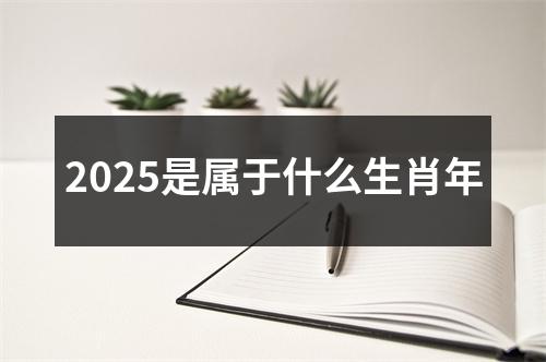 2025是属于什么生肖年