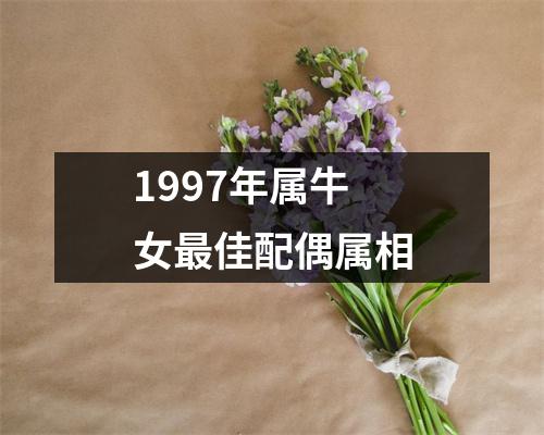 1997年属牛女最佳配偶属相