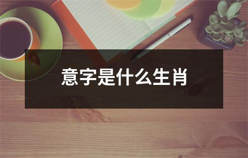 意字是什么生肖