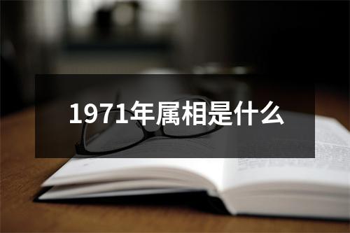 1971年属相是什么