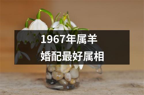 1967年属羊婚配最好属相