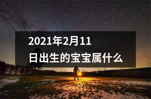 2021年2月11日出生的宝宝属什么