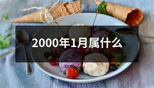 2000年1月属什么