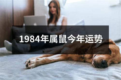 1984年属鼠今年运势