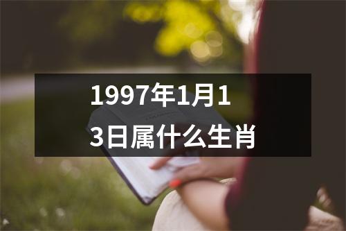 1997年1月13日属什么生肖