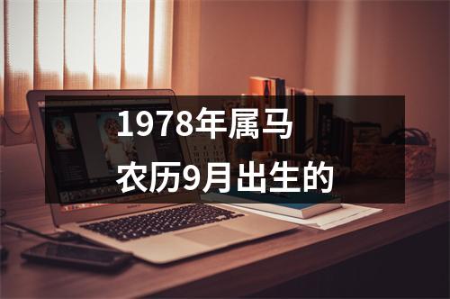 1978年属马农历9月出生的