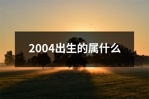 2004出生的属什么