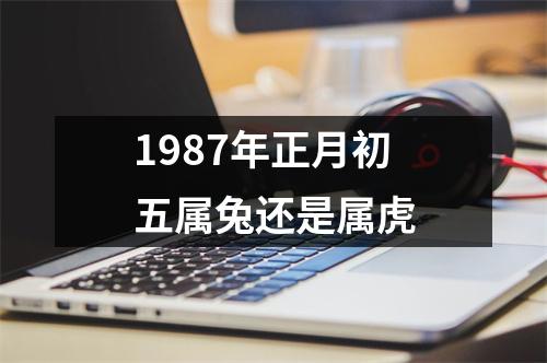 1987年正月初五属兔还是属虎