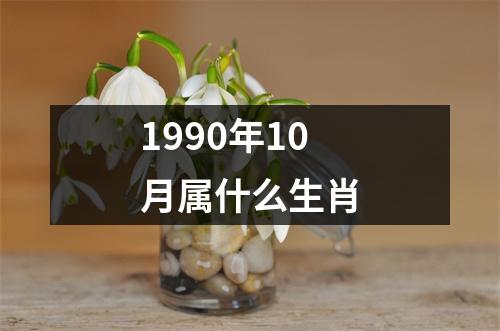 1990年10月属什么生肖