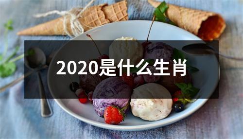 2020是什么生肖